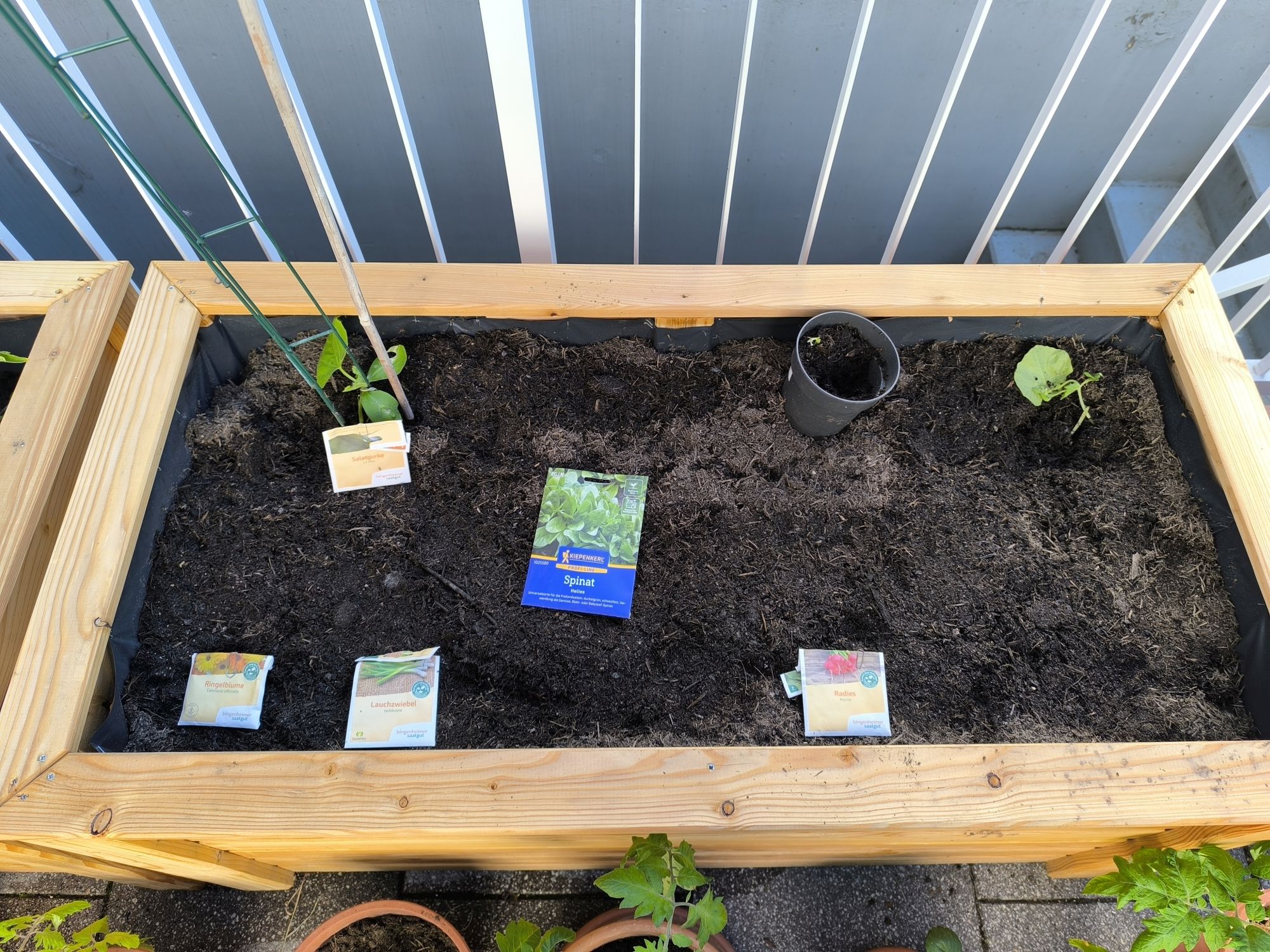 Pflanzkasten 2