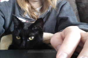 2018 KW 49 – Klempner, Kater und kein Hautkrebs