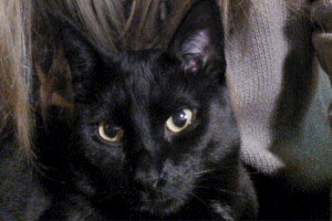 2019 KW 04 -Industrieschnee, Neubauten und Atheisten