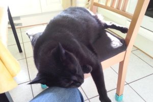 2019 KW 33 – Paragliding, Turnschuhe und Gastbeiträge