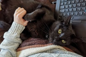 2020 KW 06 – Finanzen, Ing und Werkstatt