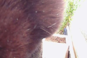 2020 KW 22 – Nischen, Urlaub, Edamame