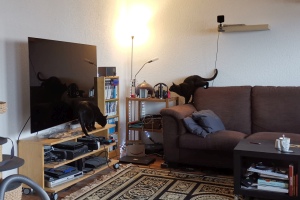 2020 KW 49 – Fernseher, Webseiten und Schnee