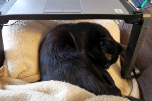 2021 KW 01 – Statt der richtigen besser die virtuelle Realität