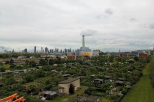 2021 KW 19 – Bücher, Pfannkuchen und Blumen