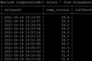 2021 KW 32 – Raspberry, Edamame und Disney