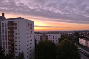 2025 KW 40 – Kaltes Wetter und toter Garten