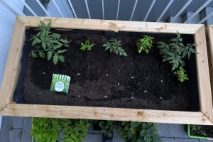 2026 KW 20, 21 – Hauptsächlich Garten